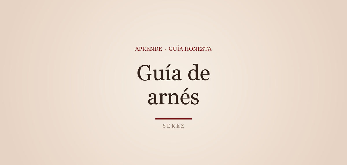 Arnés (strap-on): guía básica para curiosas — SEREZ Aprende