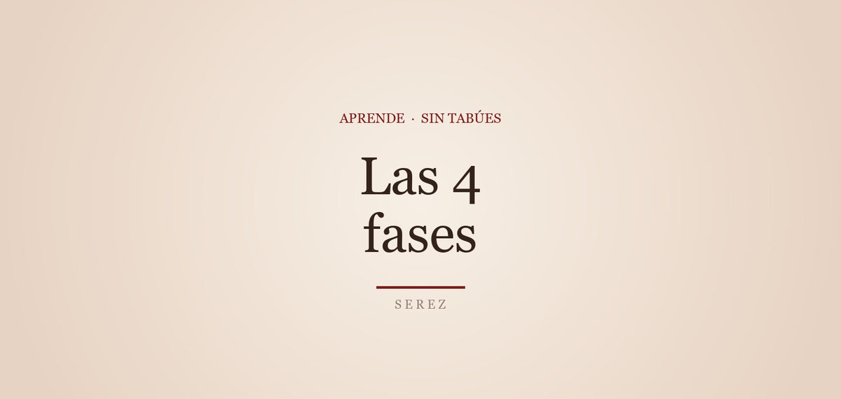 Las fases de la respuesta sexual, explicadas — SEREZ Aprende