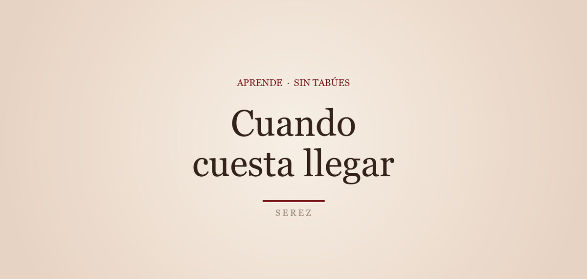 ¿Por qué me cuesta llegar? Causas y caminos — SEREZ Aprende