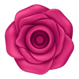 Satisfyer blossom pro 2